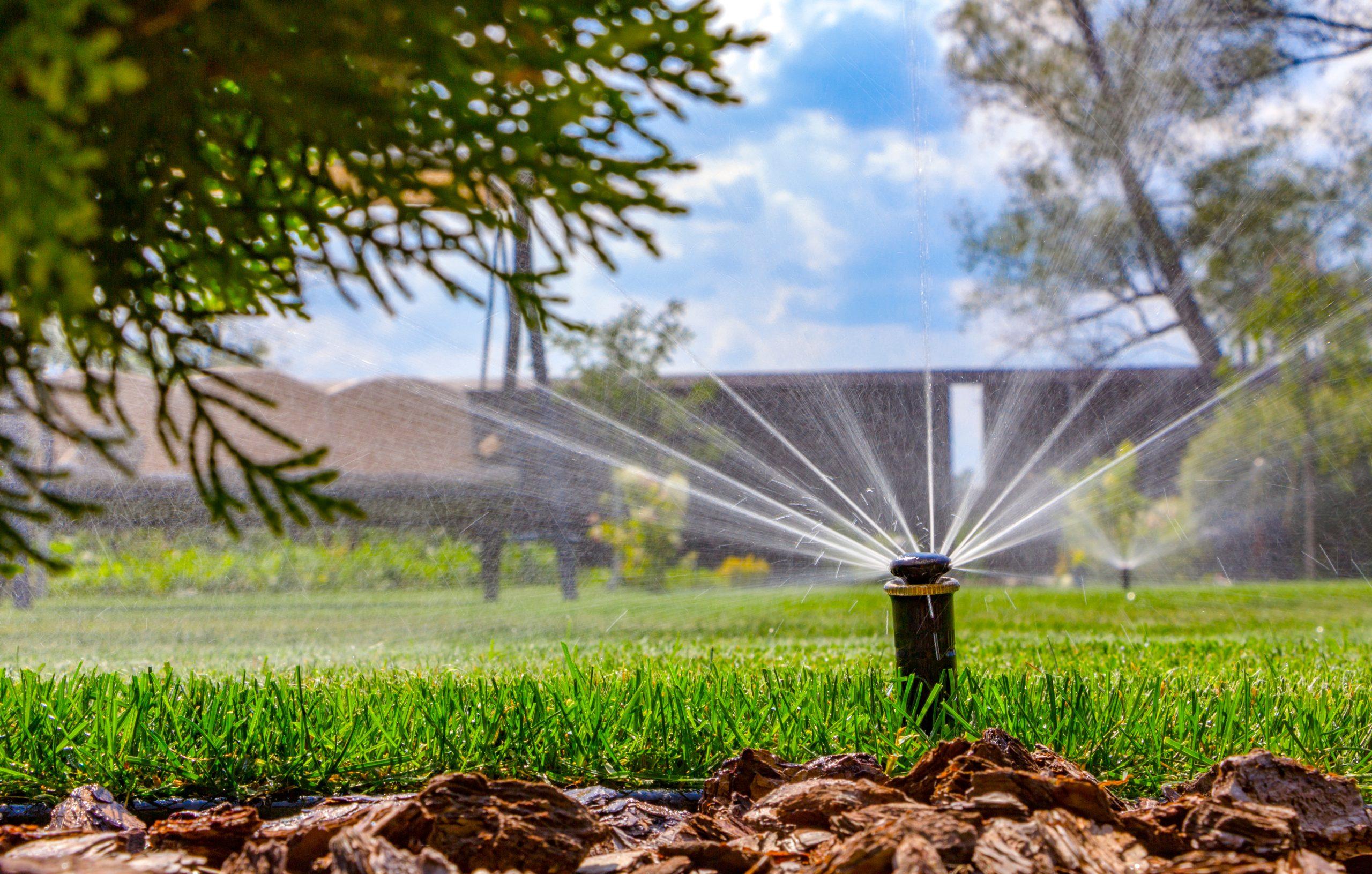 Smart Irrigation